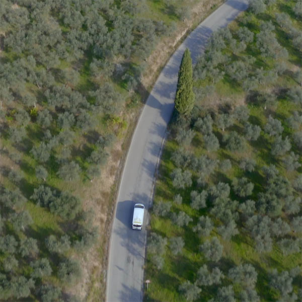 La Via dell&rsquo;Olio &mdash; image 4